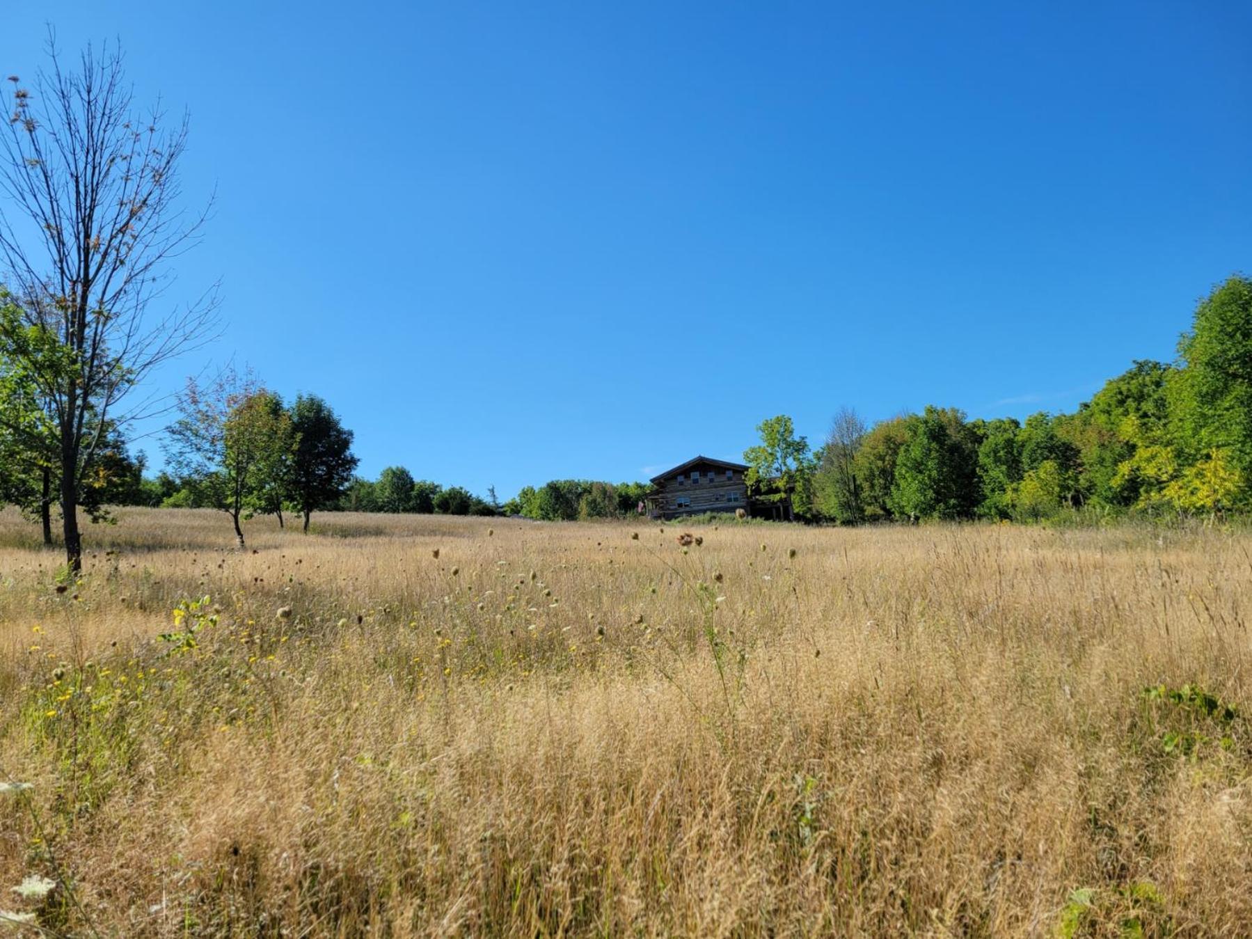 Firefly Creek Lodge Livonia Eksteriør billede